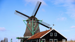 Pays-Bas: la peinture comme au temps de Vermeer grâce à un moulin séculaire