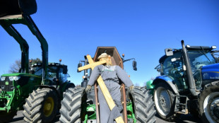 La colère des agriculteurs se propage, le gouvernement face à la "rage"