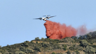 Pyrénées-Orientales: premier grand incendie de l'année, plus de 900 ha parcourus