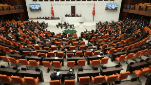 Türkisches Parlament stimmt Nato-Beitritt Schwedens zu