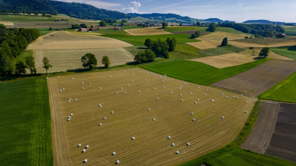 El PIB de Suiza se estanca en el segundo trimestre