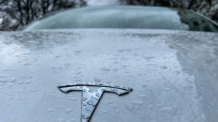 Tesla erhält endgültige Genehmigung für Werk in Brandenburg