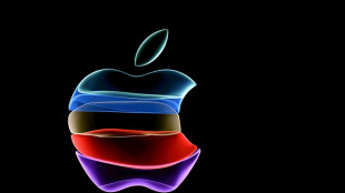 Apple wins 728-mn-euro cut to France antitrust fine