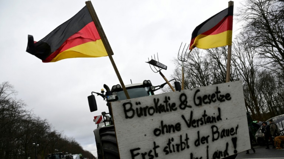 Bundestag debattiert über Zukunft der Landwirtschaft