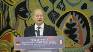 Scholz empfängt Staats- und Regierungschefs aus Afrika zu Wirtschaftsgipfel