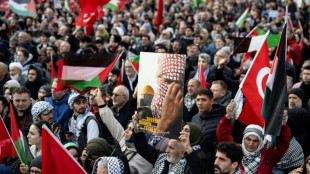 Zehntausende bei Demonstration in Istanbul gegen Israel und kurdische PKK