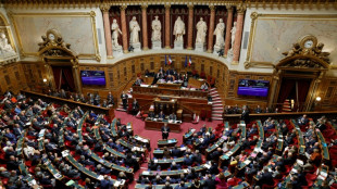 Budget 2024: le Sénat en quête d'économies, face au gouvernement