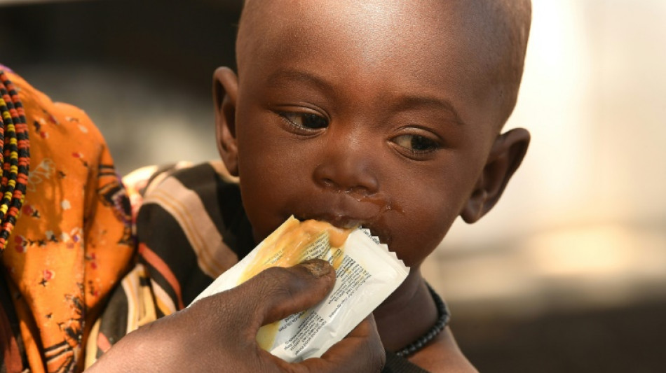 Les barres nutritives contre la famine, dommage collatéral inattendu du conflit en Ukraine
