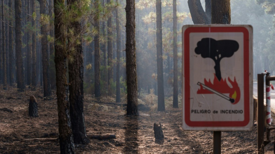 El incendio de Tenerife está parcialmente "estabilizado", pero no controlado