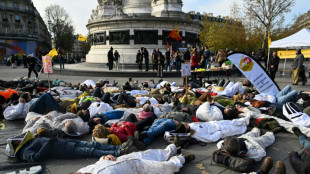 "Stop aux imports de miel à bas prix": des apiculteurs français lancent un cri d'alarme