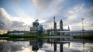 Dans le bassin de Saint-Nazaire, l'impact sanitaire des pollutions industrielles en question