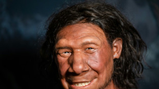 Falta de variação genética de neandertais pode explicar seu desaparecimento