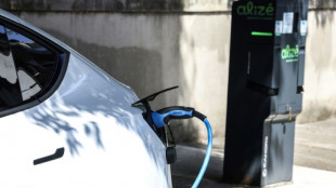 Voiture électrique à 100 euros par mois: objectif initial "dépassé", l'Etat met fin à l'édition 2024