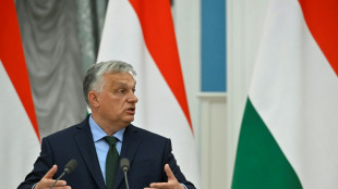 Orban auf selbst erklärter "Friedensmission" in Peking eingetroffen