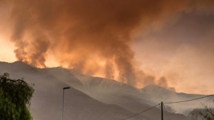 Espagne: un feu de forêt "hors de contrôle", cinq villages évacués à Tenerife