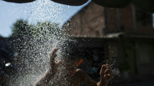 Brésil: Rio en pleine canicule à l'approche du carnaval