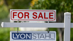 Sales of existing US homes rise in October