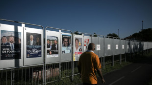 Législatives: dernier jour de campagne, les candidats appellent à la mobilisation