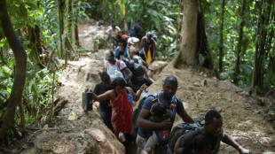 Récord anual de migrantes cruzó la selva panameña en 2023 rumbo a EEUU