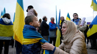 Manifestations dans plusieurs villes de France en soutien à l'Ukraine