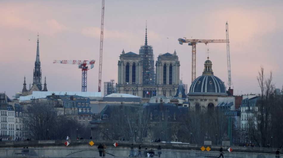 Notre-Dame rebuild 'meeting deadline and budget': project head