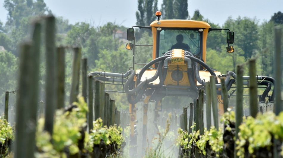 Pesticides et leucémies chez l'enfant: une étude précise les risques liés à la proximité de vignes