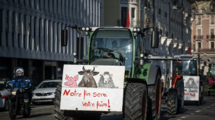 Erster Bauernprotestzug nun auch in der Schweiz