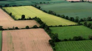 Biodiversité: l'UE adopte un texte majeur du Pacte vert, soutien surprise de l'Autriche