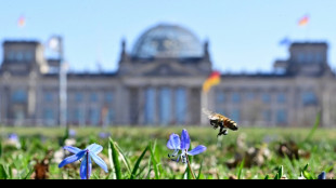 Union warnt vor Folgen des Selbstbestimmungsgesetzes der Koalition