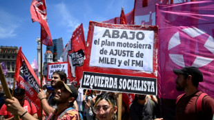 Argentines protest Milei's economic reforms