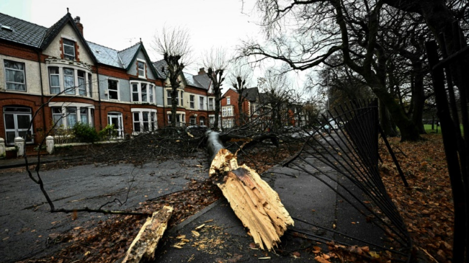 Sturm "Darragh": Zehntausende in Großbritannien ohne Strom - Mann von Baum erschlagen