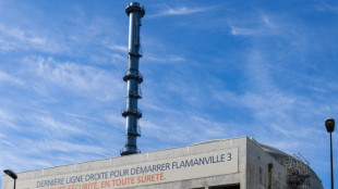 EPR de Flamanville: le chargement du combustible repoussé à "mi-avril" au moins, selon l'ASN