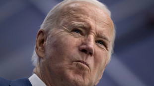 Biden sichert sich bei Vorwahlen nötige Delegiertenzahl für Präsidentschaftskandidatur