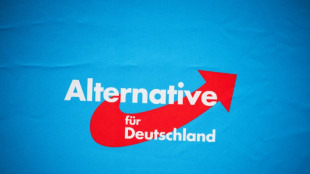 "Voice of Europe": AfD-Politiker Bystron weist Vorwürfe der Geldannahme zurück