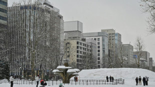 Japon : plusieurs décès après des chutes de neige record