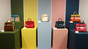 Hermes faces US lawsuit over 'refusal' to sell Birkin bag