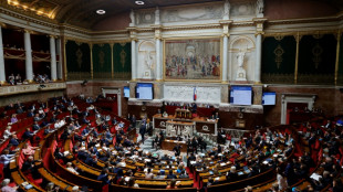 Recyclage: une mesure votée à l'Assemblée pour mieux utiliser les "résidus de production"