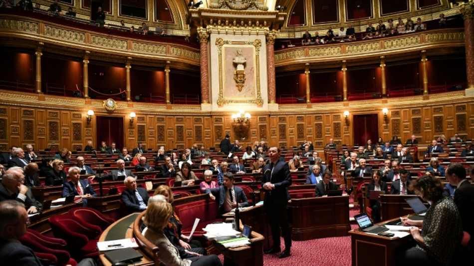 Retraites: le Sénat se penche sur l'emploi des seniors