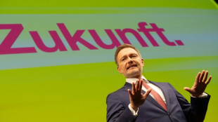 FDP fordert tiefe Sozial-Einschnitte und Ende der Subventionen für Erneuerbare