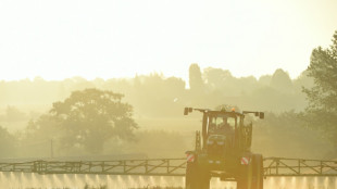 Ecophyto: le gouvernement présente sa nouvelle stratégie pour réduire les pesticides