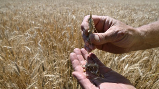 UN chief due in Turkey for Ukraine grain talks