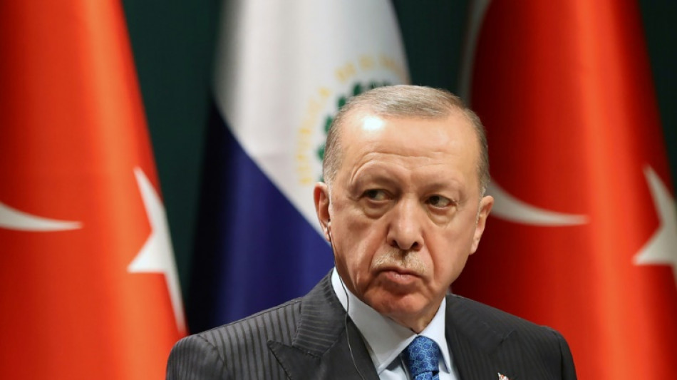 Turquie: Erdogan limoge des responsables et s'en prend aux médias