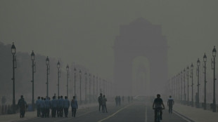 'Air-pocalypse': Indian capital launches 'Green War Room'