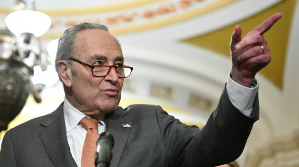 US-Senatschef Schumer fordert Neuwahl in Israel