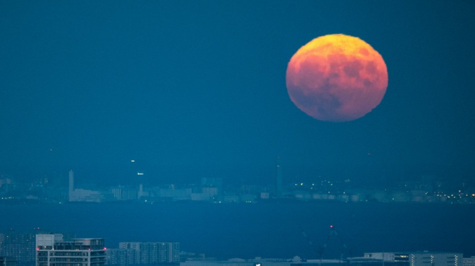 Un Japonais sera le premier non-Américain à atterrir sur la Lune