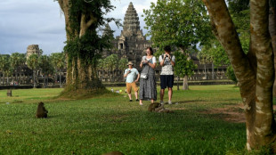 YouTubers causing monkeys to attack tourists at Cambodia's Angkor Wat