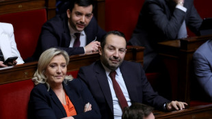 Assemblée : le RN retire un deuxième texte, dans un hémicycle tendu