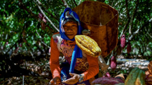 En Colombie, cocaïne contre cacao, ou le chocolat du "triangle de la coca"