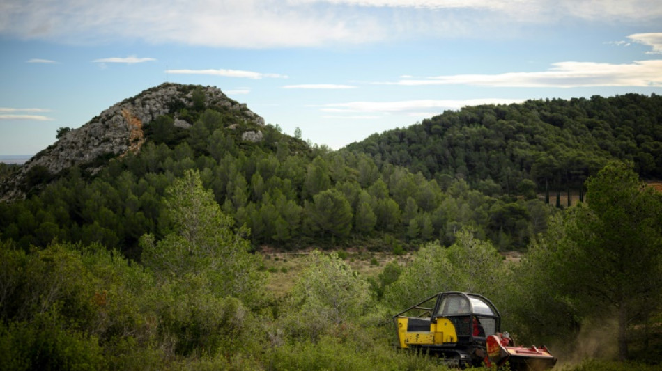 La saison des incendies se prépare dès l'automne