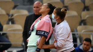 'I wish I was a man,' says China's Zheng as stomach cramps end French Open bid